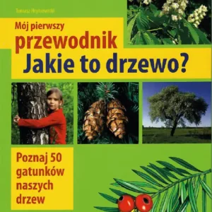 Okładka książki „Mój pierwszy przewodnik. Jakie to drzewo?” z fotografiami drzew, szyszek i dziecka przytulającego pień drzewa. Publikacja przedstawia 50 gatunków drzew.
