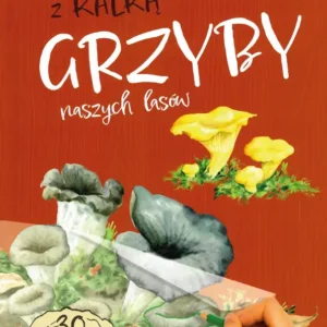 Okładka książki „Grzyby naszych lasów – zeszyt z kalką” z ilustracjami grzybów i ręką odrysowującą sylwetkę jednego z nich; informacja o 30 sylwetkach do odrysowania.