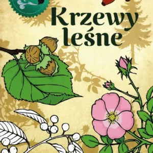 Okładka kolorowanki edukacyjnej „Krzewy leśne” z rysunkami orzechów leszczyny, róży, śnieguliczki i owoców dzikiej róży na tle leśnym.