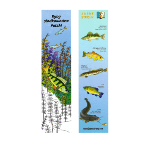 Obrazek przedstawia dwie strony zakładki do książek z motywami ryb z kolorowanki "Ryby słodkowodne Polski". Na jednej stronie znajduje się motyw z okładki książki przedstawiający okonia, a na drugiej kilka ryb, takich jak sandacz, pstrąg potokowy, miętus, lin i sum. Ryby są podpisane po polsku, angielsku i ukraińsku. Zakładki mają na celu promocję książeczki i wydawnictwa.