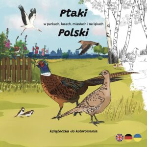 Okładka edukacyjnej kolorowanki „Ptaki w parkach, lasach, miastach i na łąkach Polski” z ilustracją ptaków na łące: bażantów (samiec i samica), wróbli, bociana, jemiołuszki; obok płot z malwami, a na horyzoncie kontury miasta.