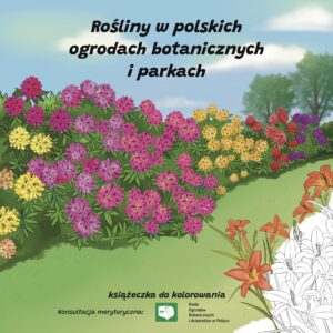 Okładka edukacyjnej kolorowanki „Rośliny w polskich ogrodach botanicznych i parkach” z ilustracją roślin: rododendronów wielu kolorach oraz pomarańczowych liliowców. Fragment okładki pozostaje czarno-biały, żeby od razu pokazać, że to książeczka do kolorowania.